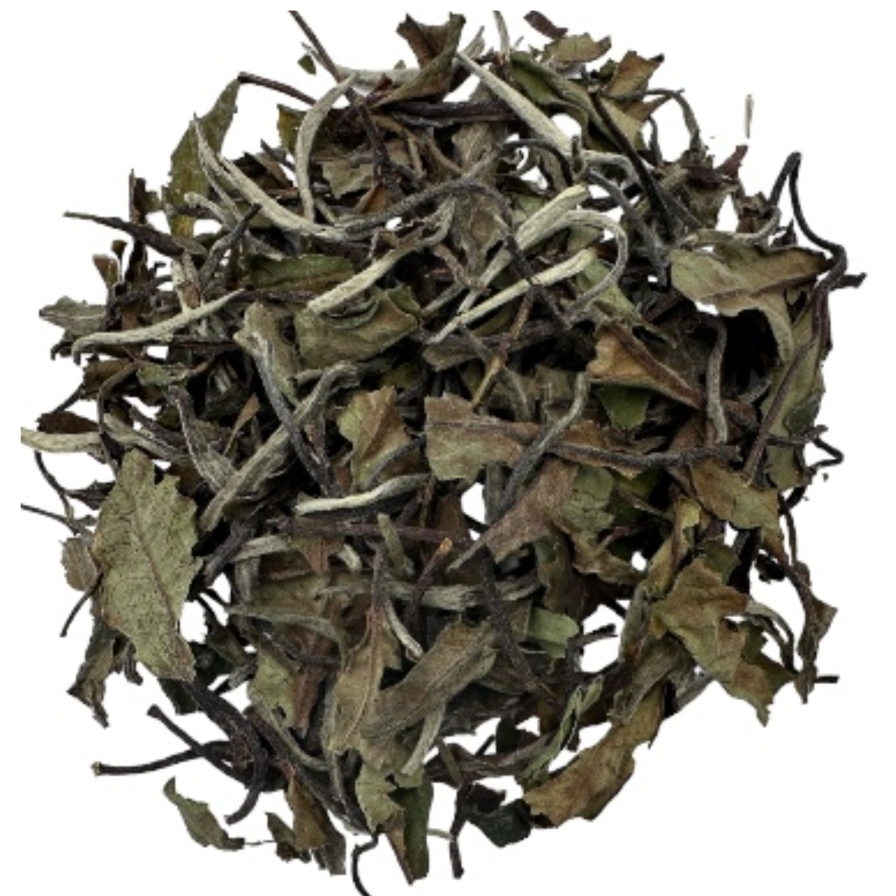 China White Tea - (Gong Mei) 